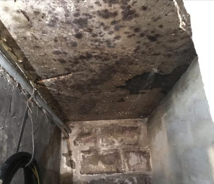 An image of a heating duct covered in brown mold 