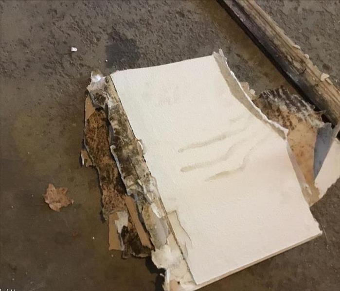 Piece of drywall with obvious contamination 